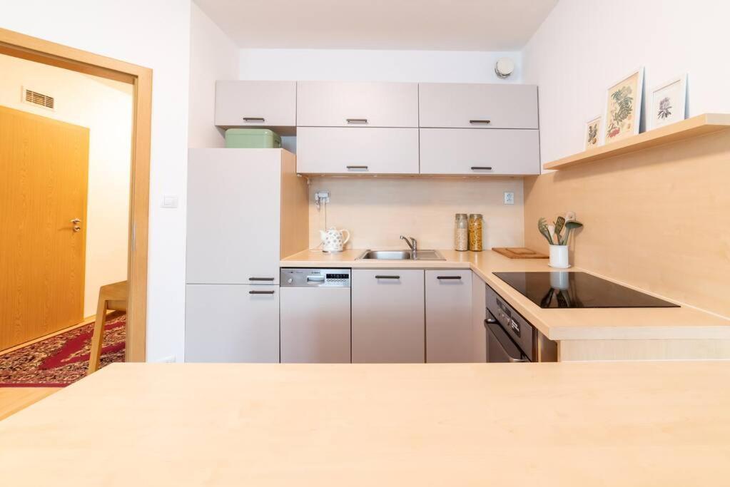 Grape Apartment 브라티슬라바 외부 사진
